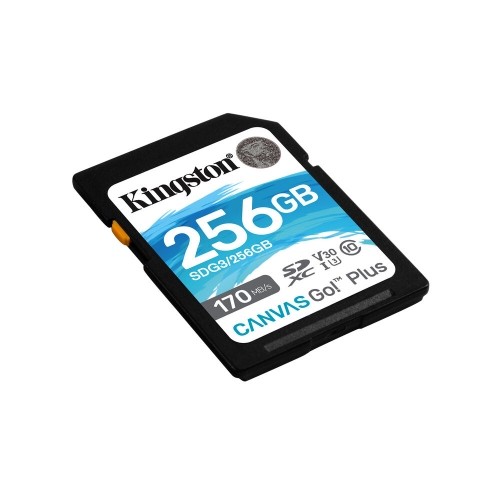 SD Atmiņas Karte Kingston SDG3/256GB 256GB 256 GB image 1