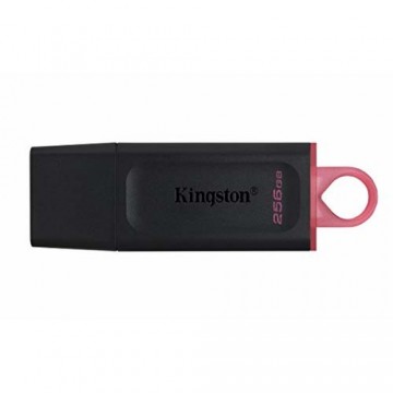 USB Zibatmiņa Kingston DTX/256GB            256 GB Melns