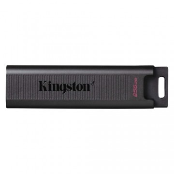 USB Zibatmiņa Kingston DTMAX 256 GB
