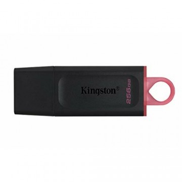 USB Zibatmiņa Kingston DTX/256GB 256 GB