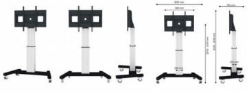 Neomounts By Newstar TV SET ACC FLOOR STAND 42-100"/PLASMA-M2500SILVER NEOMOUNTS
