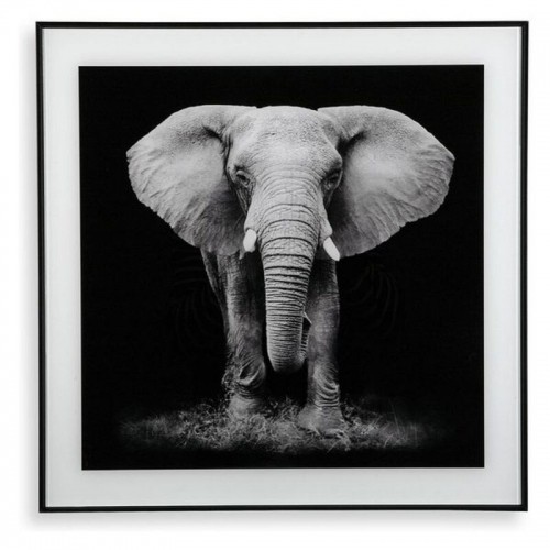 Bigbuy Home Glezna Elephant (2 x 50 x 50 cm) image 1