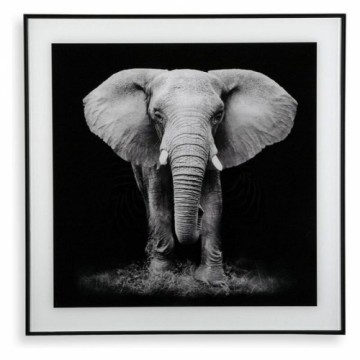 Bigbuy Home Glezna Elephant (2 x 50 x 50 cm)