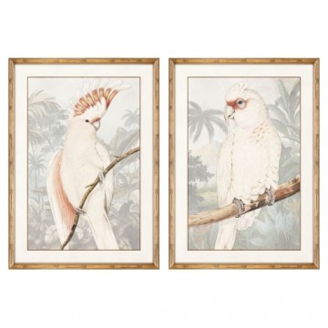 Glezna DKD Home Decor Papagailis (50 x 2 x 70 cm) (2 pcs)