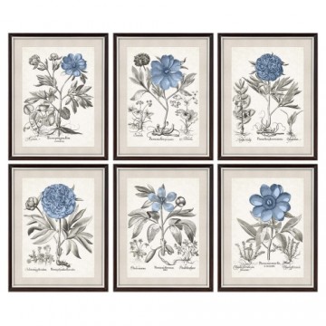 Glezna DKD Home Decor Цветы (6 pcs) (50 x 2 x 65 cm)