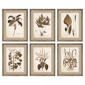 Glezna DKD Home Decor Botāniskie augi (55 x 2.5 x 70 cm) (6 pcs)