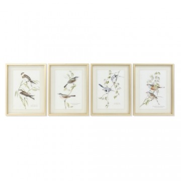 Картина DKD Home Decor птицы (35 x 2.5 x 45 cm) (4 pcs)