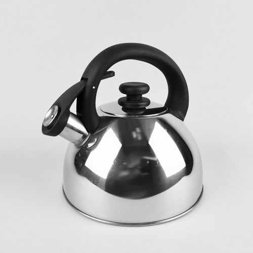 Feel-Maestro MR1302 kettle 2.5 L Stainless steel image 1