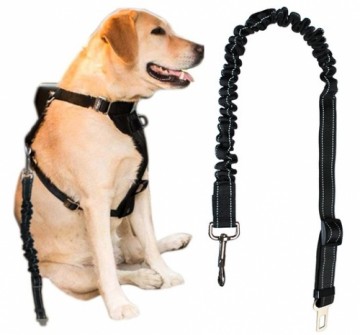 Iso Trade Dog leash with buckle tongue Dog harness Adjustable 100-130cm Elastic Black 6230 (12881-0)