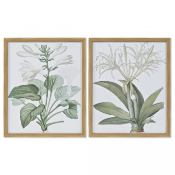 Glezna DKD Home Decor Botāniskie augi (2 pcs) (43 x 3 x 53 cm)