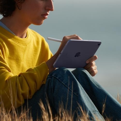 Apple iPad mini 5G TD-LTE &amp; FDD-LTE 256 GB 21.1 cm (8.3&quot;) Wi-Fi 6 (802.11ax) iPadOS 15 Beige image 4