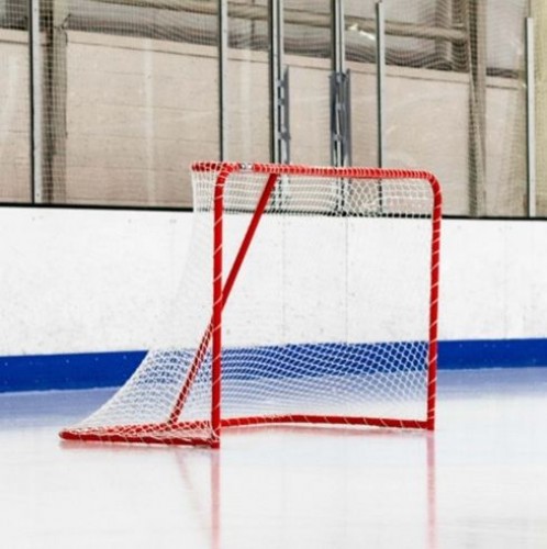 Хоккейная сетка SH-1 image 1