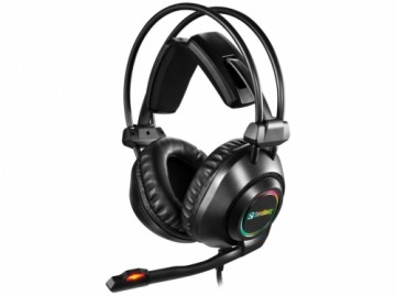 Sandberg  
         
       126-08 Savage Headset USB 7.1