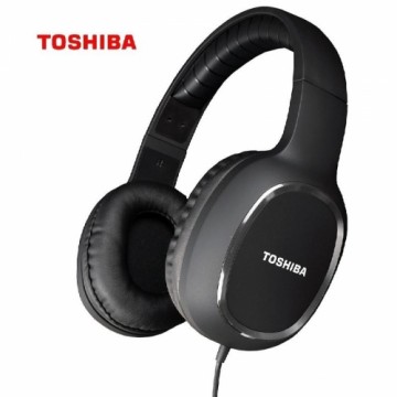 Toshiba  
         
       RZE-D160H black