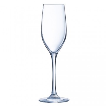 Šampanieša glāze Chef&Sommelier Sequence Caurspīdīgs Stikls 6 gb. (17 CL)