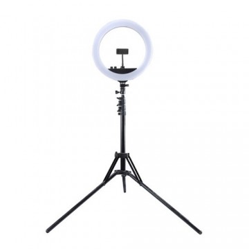 Puluz LED Ring Lamp 34.5cm with Tripod Stand up to 1.85m, Mirror, Phone Clamp, USB
