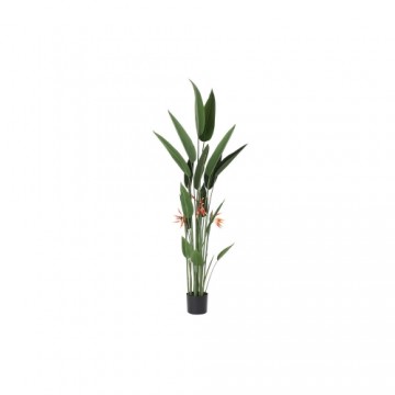 Декоративное растение DKD Home Decor полиэстер полипропилен (75 x 75 x 180 cm)