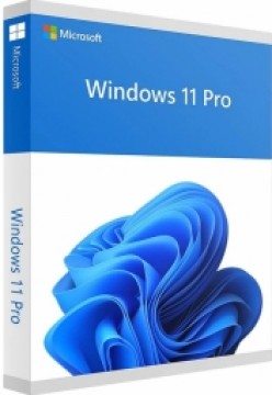 Microsoft Windows 11 Pro ENG Intl USB FPP