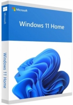 Microsoft Windows 11 Home ENG Intl USB FPP