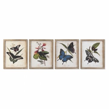 Картина DKD Home Decor Бабочки Shabby Chic (40 x 2 x 50 cm) (4 штук)