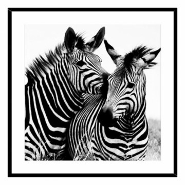 Versa Glezna Zebra Stikls (2 x 50 x 50 cm)