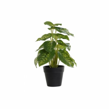 Декоративное растение DKD Home Decor Чёрный Зеленый PVC PP (20 x 20 x 30 cm)