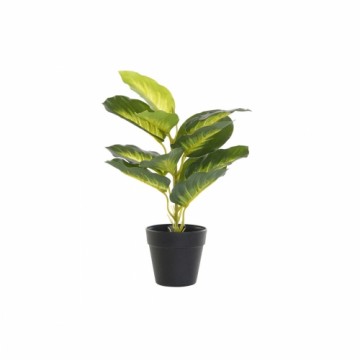 Декоративное растение DKD Home Decor Чёрный Зеленый PVC PP (25 x 25 x 30 cm)
