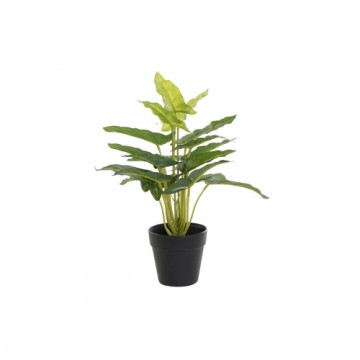 Декоративное растение DKD Home Decor Чёрный Зеленый PVC PP Лилия (25 x 25 x 30 cm)