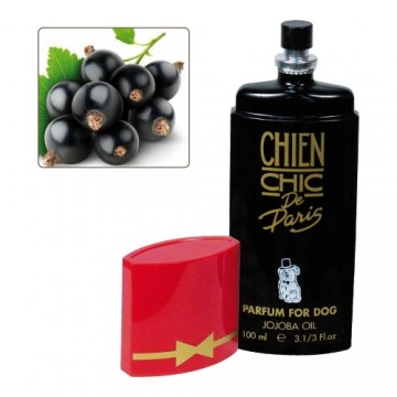 Духи для животных Chien Chic Пёс смородина (100 ml)