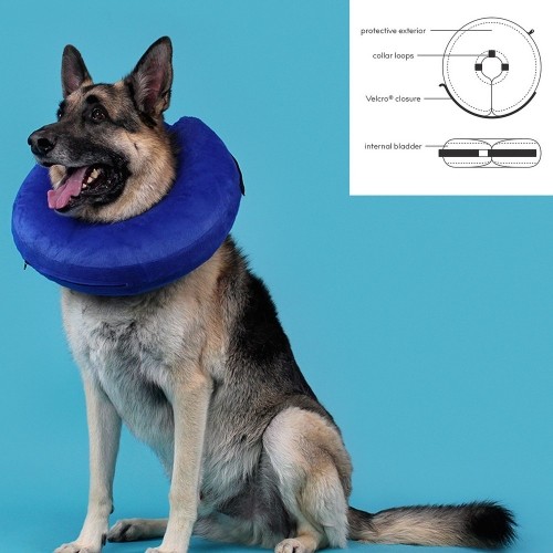Recovery Collar for Dogs KVP Kong Cloud Zils Piepūšamās (15-25 cm) image 2