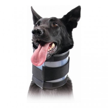 Cervical Collar for Dogs KVP Melns (20-64 cm)
