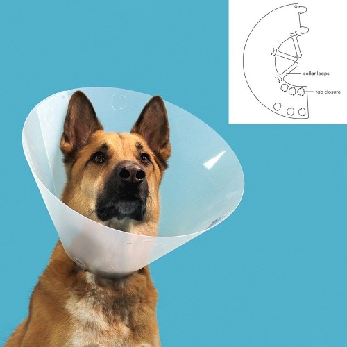 Pēcoperācijas apkakle suņiem KVP Quick Fit Caurspīdīgs (56-66 cm) image 2