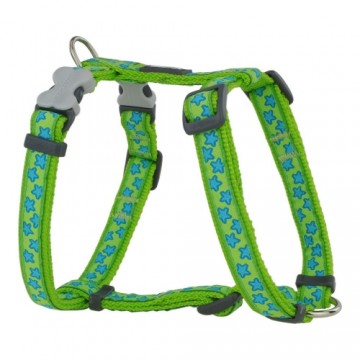 Suņu drošības siksna Red Dingo Style Tirkīzs Zvaigzne Zaļš 37-61 cm