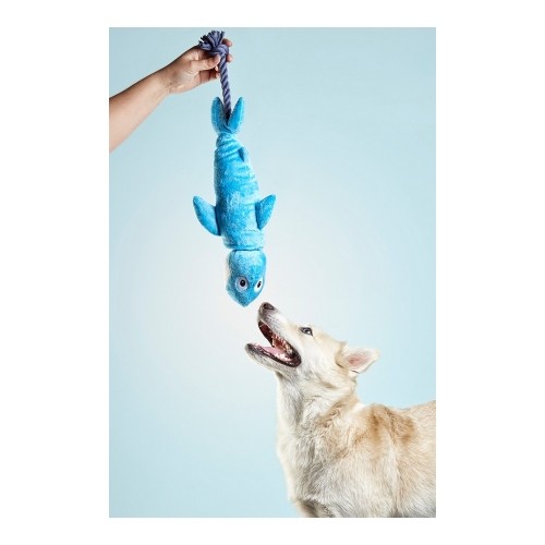 Suņu rotaļlieta Gloria Clint Haizivs image 2