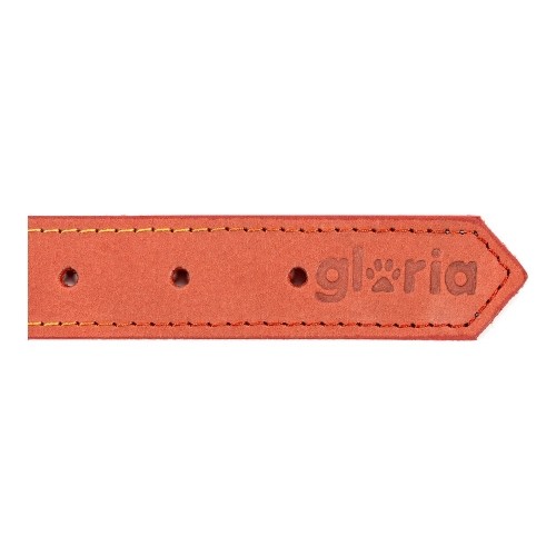 Suņa kaklasiksna Gloria Oasis Sarkans (55 x 2,5 cm) image 2