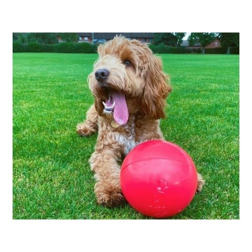 Игрушка для собак Company of Animals Boomer Синий (250mm) image 3