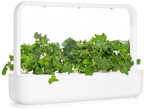 Click & Grow Smart Refill Green Kale 3pcs image 2