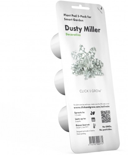 Click & Grow Smart Refill Dusty Miller 3pcs image 5
