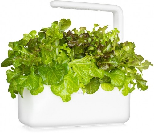Click & Grow Smart Refill Red Oakleaf Lettuce 3pcs image 3