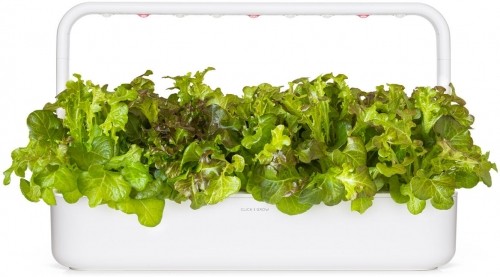 Click & Grow Smart Refill Red Oakleaf Lettuce 3pcs image 4