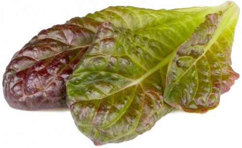 Click & Grow Smart Refill Red romaine lettuce 3pcs image 1