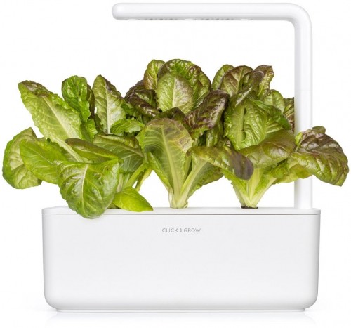 Click & Grow Smart Refill Red romaine lettuce 3pcs image 3