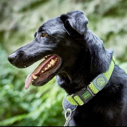 Suņa kaklasiksna Hunter Vario Plus Vītnes buklets L Izmērs Kaļķi (40-60 cm) image 3