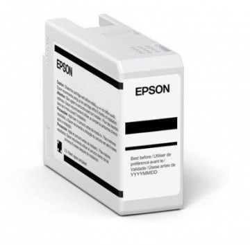 EPSON  
         
       EPSON Singlepack Light Gray T47A9 UltraC