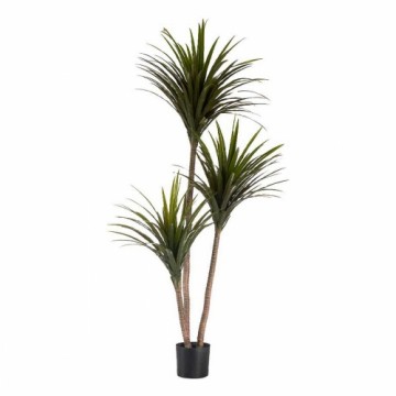 Ibergarden Декоративное растение Зеленый Пластик (80 x 200 x 105 cm)