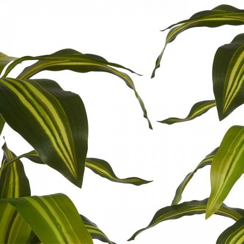 Ibergarden Dekoratīvs Augs Zaļš Plastmasa (70 x 120 x 70 cm) image 2