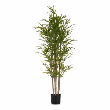 Ibergarden Декоративное растение Бамбук Зеленый Пластик (80 x 150 x 80 cm)