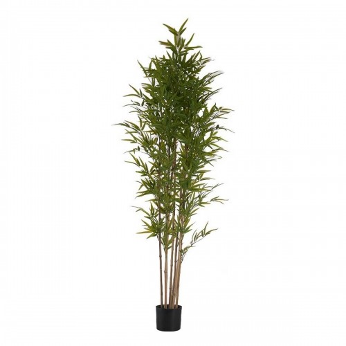 Ibergarden Dekoratīvs Augs Bambuss Zaļš Plastmasa (80 x 180 x 80 cm) image 1