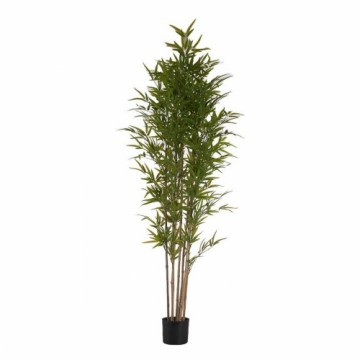 Ibergarden Dekoratīvs Augs Bambuss Zaļš Plastmasa (80 x 180 x 80 cm)
