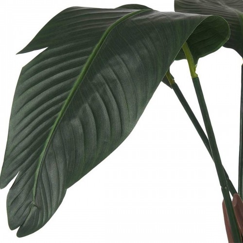 Ibergarden Dekoratīvs Augs Paradīzes putns Zaļš Plastmasa (100 x 120 x 100 cm) image 2